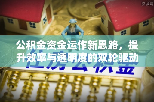 玛多公积金资金运作新思路，提升效率与透明度的双轮驱动