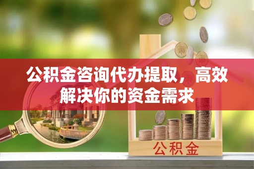 玛多公积金咨询代办提取，高效解决你的资金需求