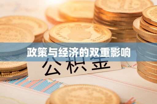 玛多政策与经济的双重影响