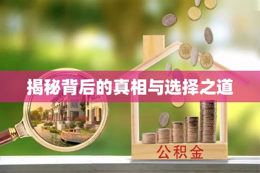 玛多揭秘背后的真相与选择之道