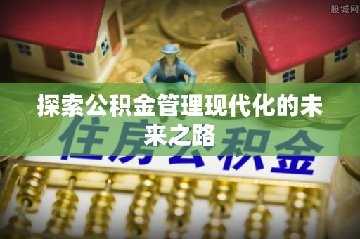 玛多探索公积金管理现代化的未来之路