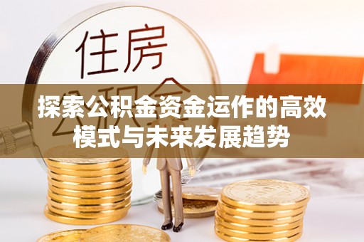 玛多探索公积金资金运作的高效模式与未来发展趋势