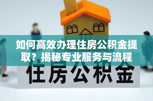 玛多如何高效办理住房公积金提取？揭秘专业服务与流程