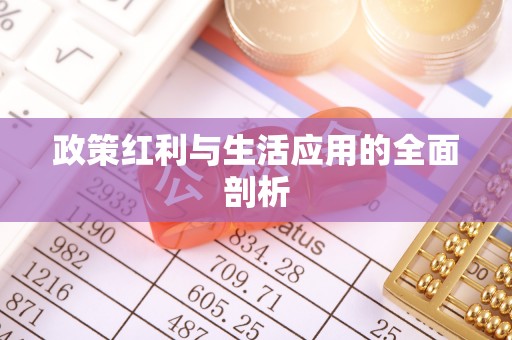 玛多政策红利与生活应用的全面剖析