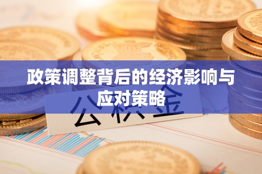 玛多政策调整背后的经济影响与应对策略