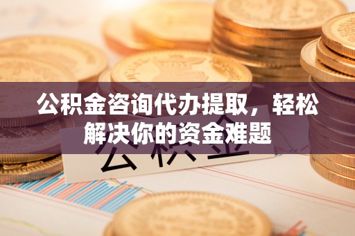 玛多公积金咨询代办提取，轻松解决你的资金难题