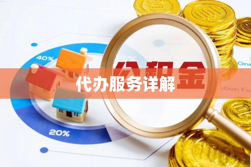 玛多代办服务详解
