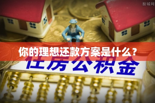 玛多你的理想还款方案是什么？