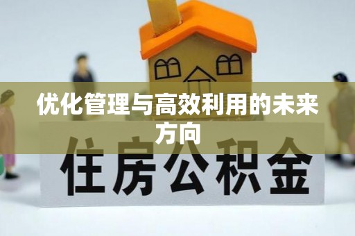 玛多优化管理与高效利用的未来方向
