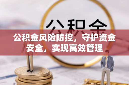 玛多公积金风险防控，守护资金安全，实现高效管理