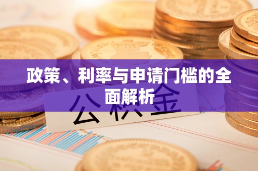 玛多政策、利率与申请门槛的全面解析