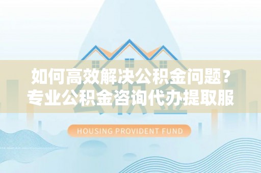 玛多如何高效解决公积金问题？专业公积金咨询代办提取服务来帮你