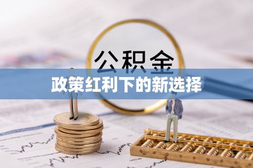 玛多政策红利下的新选择