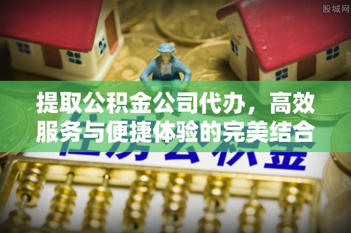 玛多提取公积金公司代办，高效服务与便捷体验的完美结合