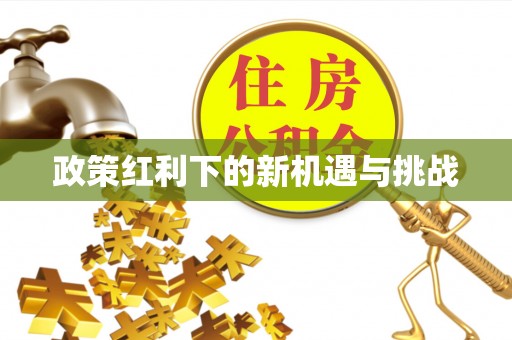 玛多政策红利下的新机遇与挑战