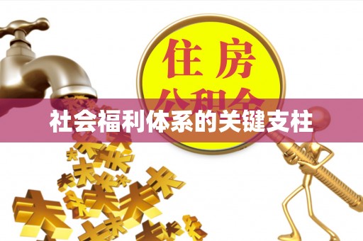 玛多社会福利体系的关键支柱