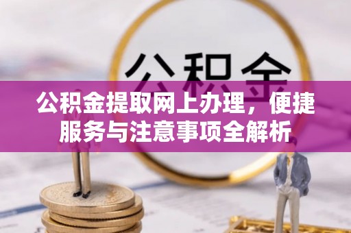 玛多公积金提取网上办理，便捷服务与注意事项全解析