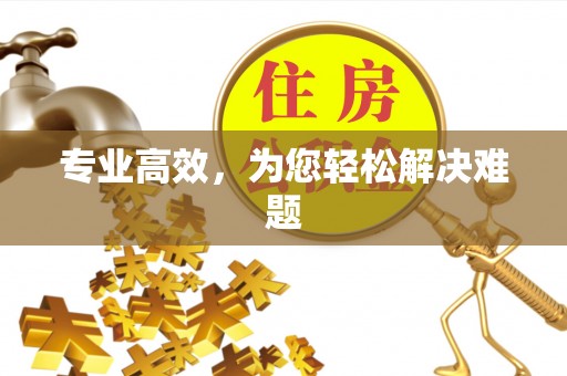 玛多专业高效，为您轻松解决难题