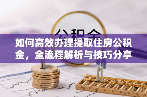 玛多如何高效办理提取住房公积金，全流程解析与技巧分享