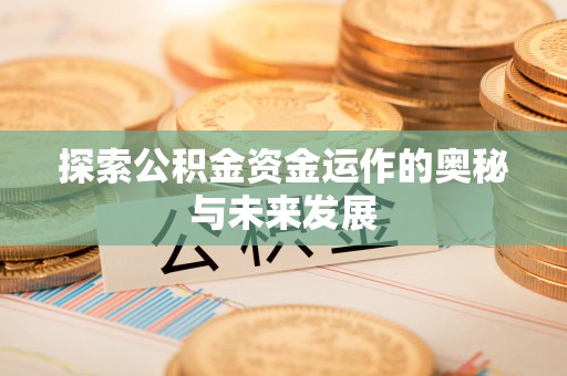 玛多探索公积金资金运作的奥秘与未来发展