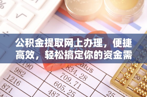 玛多公积金提取网上办理，便捷高效，轻松搞定你的资金需求