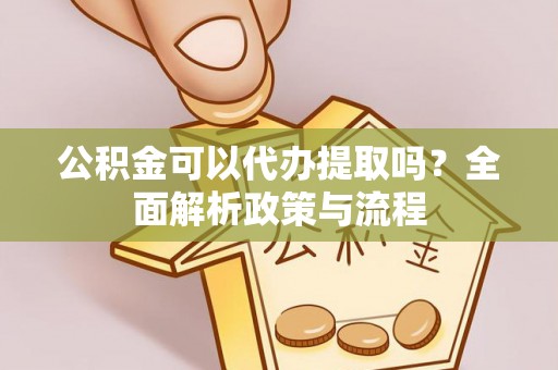 玛多公积金可以代办提取吗？全面解析政策与流程