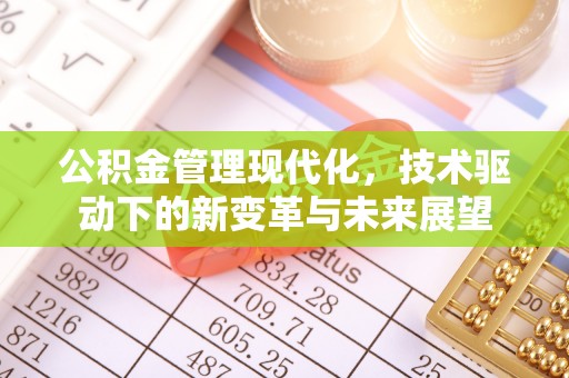 玛多公积金管理现代化，技术驱动下的新变革与未来展望