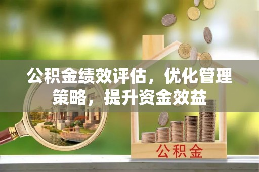 玛多公积金绩效评估，优化管理策略，提升资金效益
