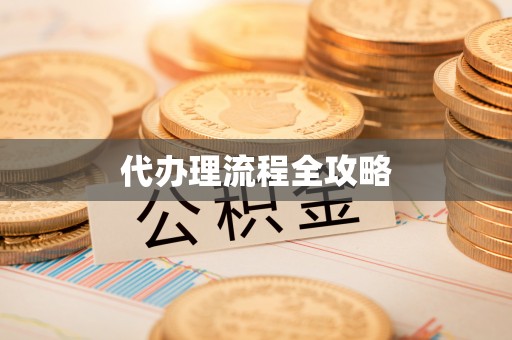 玛多代办理流程全攻略