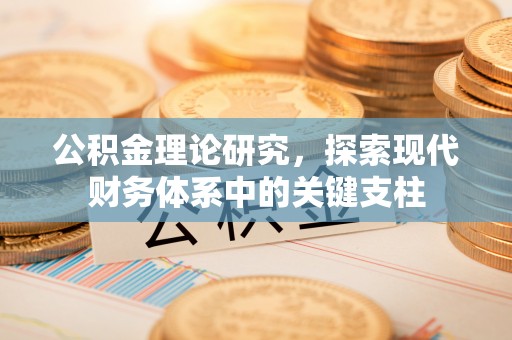 玛多公积金理论研究，探索现代财务体系中的关键支柱