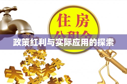 玛多政策红利与实际应用的探索