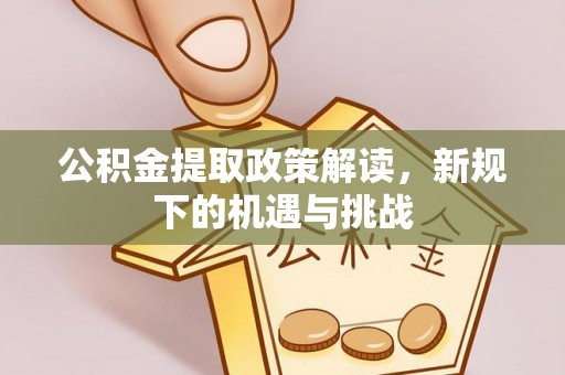 玛多公积金提取政策解读，新规下的机遇与挑战
