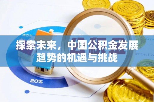 玛多探索未来，中国公积金发展趋势的机遇与挑战