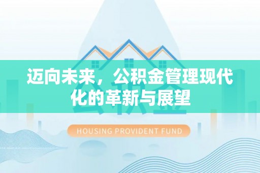 玛多迈向未来，公积金管理现代化的革新与展望