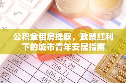 玛多公积金租房提取，政策红利下的城市青年安居指南