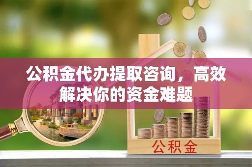 玛多公积金代办提取咨询，高效解决你的资金难题