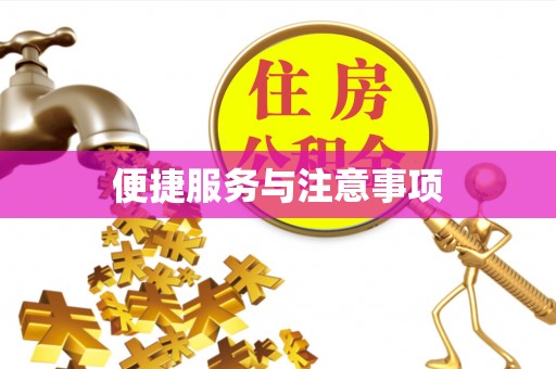 玛多便捷服务与注意事项