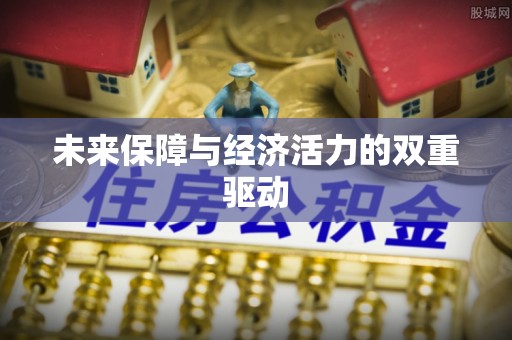 玛多未来保障与经济活力的双重驱动