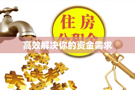 玛多高效解决你的资金需求