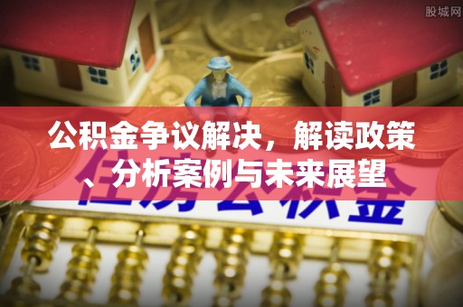 玛多公积金争议解决，解读政策、分析案例与未来展望