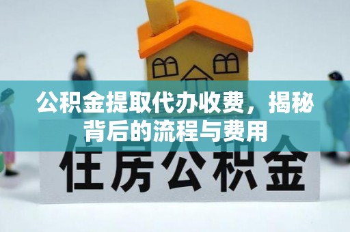 玛多公积金提取代办收费，揭秘背后的流程与费用