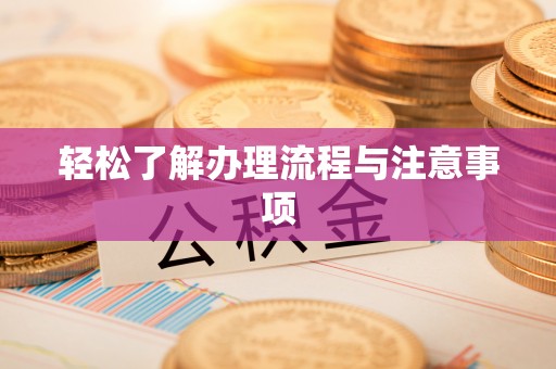 玛多轻松了解办理流程与注意事项