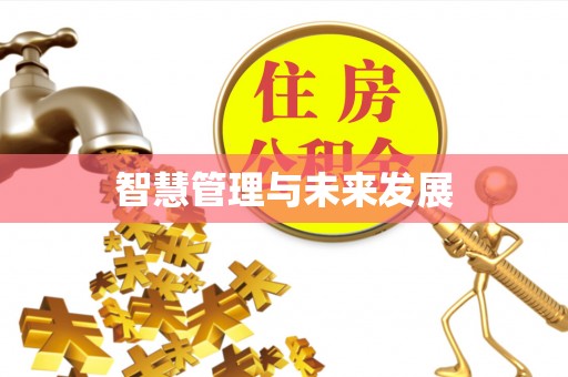 玛多智慧管理与未来发展