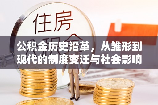 玛多公积金历史沿革，从雏形到现代的制度变迁与社会影响