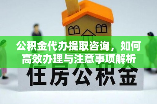 玛多公积金代办提取咨询，如何高效办理与注意事项解析