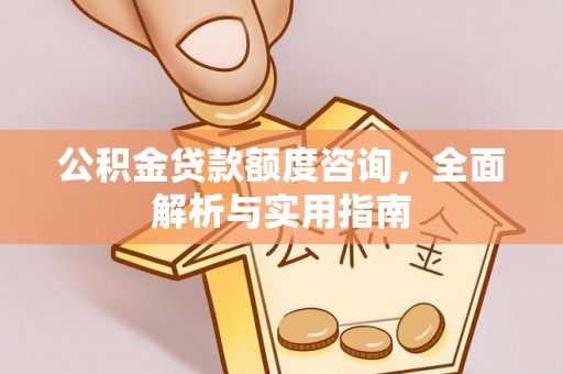 玛多公积金贷款额度咨询，全面解析与实用指南