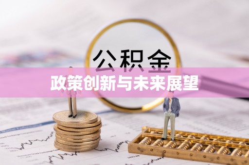 玛多政策创新与未来展望