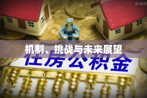 玛多机制、挑战与未来展望