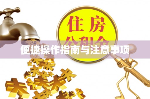玛多便捷操作指南与注意事项