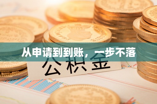 玛多从申请到到账，一步不落